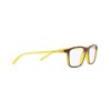 Arnette Dorami AN 7227 (2884)