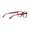 Arnette Elbo AN 7232 (2875)