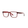 Arnette Elbo AN 7232 (2875)