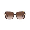 Bulgari BV 8243B (504/13)