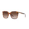 Bulgari BV 8245 (551513)