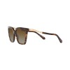Bulgari BV 8255B (504/T5)