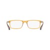 Calvin Klein CK19569N (201)