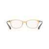 Calvin Klein CK23525N (209)