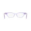 Dkny DK5080 (520)