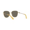 Dolce & Gabbana DG 2293 (02/7P)