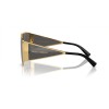 Dolce & Gabbana DG 2305 (02/87)