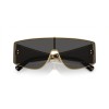 Dolce & Gabbana DG 2305 (02/87)
