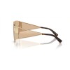 Dolce & Gabbana DG 2305 (13655A)
