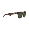 Dolce & Gabbana DG 4420 (502/71)