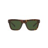 Dolce & Gabbana DG 4420 (502/71)
