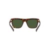 Dolce & Gabbana DG 4420 (502/71)