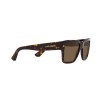 Dolce & Gabbana DG 4431 (502/73)