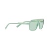 Dolce & Gabbana DG 6179 (3395M1)