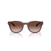 Emporio Armani EA 4225U (610113)