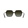 Lacoste L6079S (230)