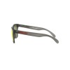 Oakley Frogskins OO 9013 (9013F8)