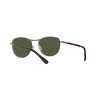 Persol PO 1002S (513/31)