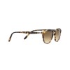 Persol PO 3092SM (900551)