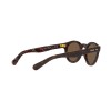 Polo PH 4165 (500373)