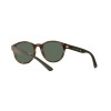 Polo PH 4176 (500371)