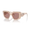 Prada PR 14ZS (19R10D)