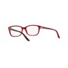 Ralph Lauren RL 6062 (5255)