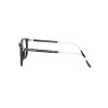 Ralph Lauren RL 6196P (5003)