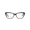 Ralph Lauren RL 6217B (5001)