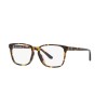 Ralph Lauren RL 6226U (5134)