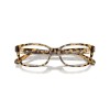 Ralph Lauren RL 6244U (6178)