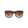 Ralph Lauren RL 8141 (50033B)