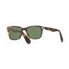 Ralph Lauren RL 8162P (513452)