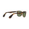 Ralph Lauren RL 8162P (513452)