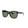 Ralph Lauren RL 8180 (500371)