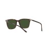 Ralph Lauren RL 8199 (500371)