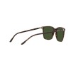 Ralph Lauren RL 8199 (500371)