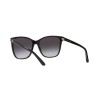 Ralph Lauren RL 8201 (50018G)