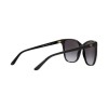 Ralph Lauren RL 8201 (50018G)