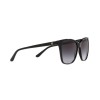 Ralph Lauren RL 8201 (50018G)