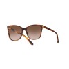 Ralph Lauren RL 8201 (500713)