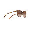 Ralph Lauren RL 8201 (500713)