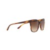 Ralph Lauren RL 8201 (500713)