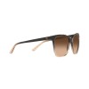 Ralph Lauren RL 8201 (602274)