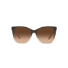 Ralph Lauren RL 8201 (602274)