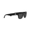 Ralph Lauren RL 8205 (500187)