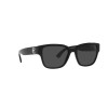 Ralph Lauren RL 8205 (500187)