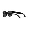 Ralph Lauren RL 8205 (500187)