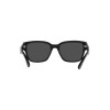 Ralph Lauren RL 8205 (500187)