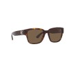 Ralph Lauren RL 8205 (500373)
